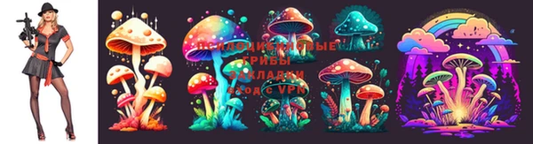 спиды Бугульма