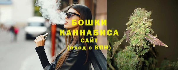 мет Бородино