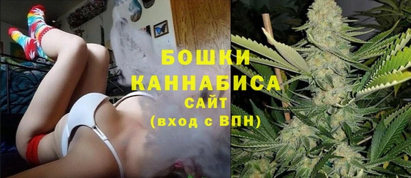 мет Бородино