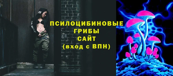 мет Бородино
