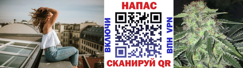 купить  цена  Дивногорск  Бошки марихуана сатива 